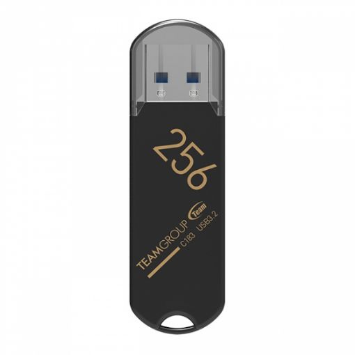 Slika USB ključ 256GB USB3.2 Gen 1 C183