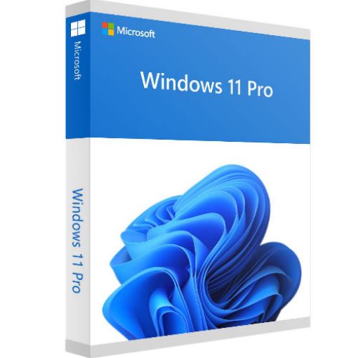 Slika Microsoft WINDOWS 11 PRO DSP SLO
